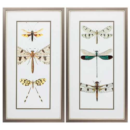 13" X 25" Metallic Bronze Frame Entomology Series (Set of 2)