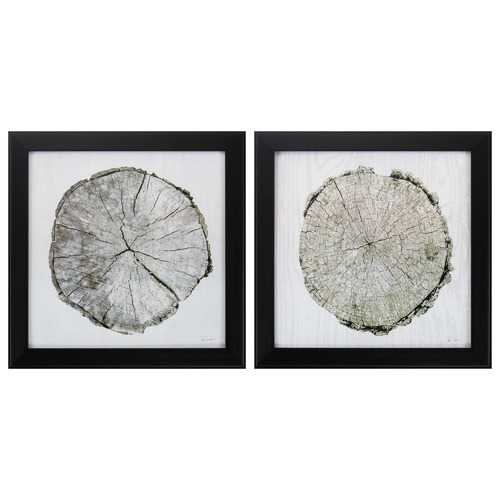 14" X 14" Dark Wood Toned Frame Woodland Years (Set of 2)