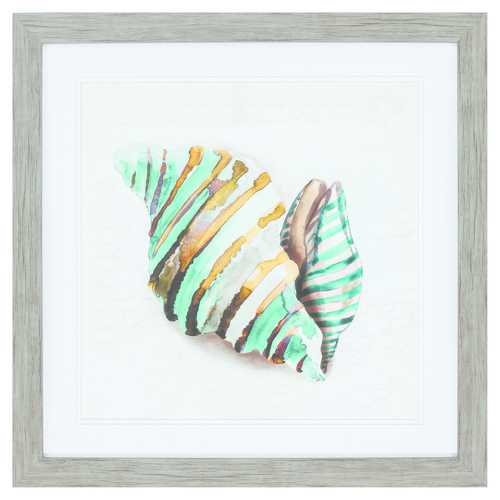 25" X 25" Woodtoned Frame Shell IIi