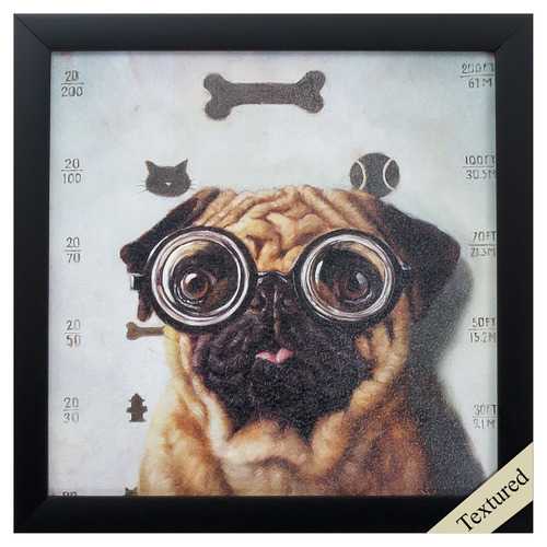 11" X 11" Black Frame Canine Eye Exam